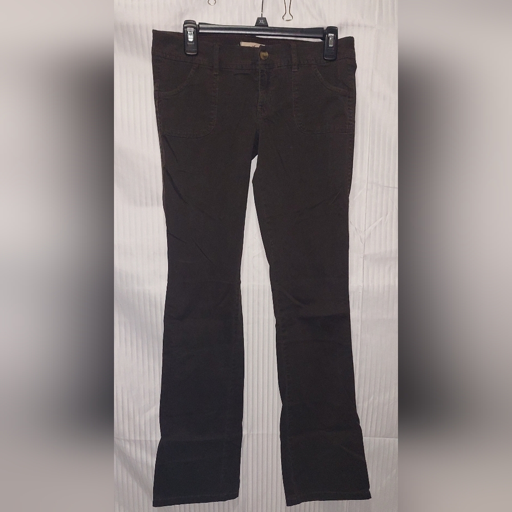 Hollister Brown Boot Cut Pants